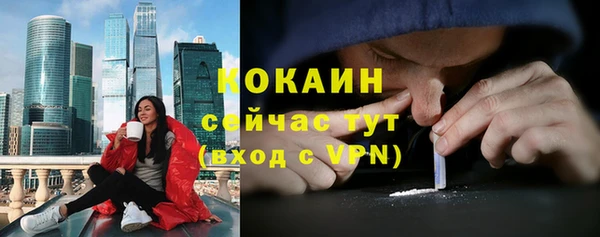 винт Абаза
