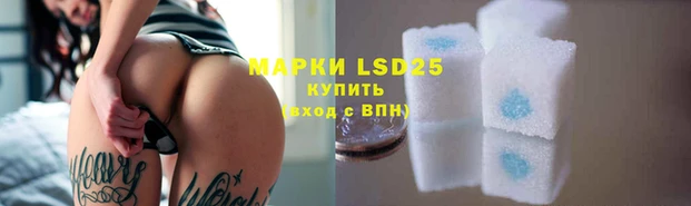 винт Абаза