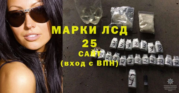 винт Абаза