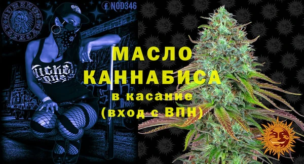винт Абаза